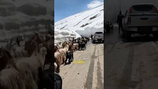 Pakistan’s Glacier Highway [upl. by Brigida813]