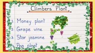 10 Climber Plants Name  Climbers Name  10 Climbers Plant Name in English  Climblers Example [upl. by Ardnusal987]