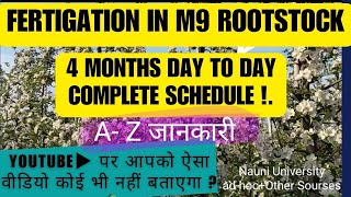 Fertigation In M9 Rootstock 17 Year plants प्रतिदिन का schedule Nauni University Adhoc Oth so [upl. by Ahsal]