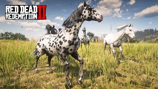 A Fuga dos Appaloosas  ESTOURO DE MANADA  CAVALOS EM FUGA  Red Dead Redemption 2 [upl. by Anilasor]