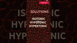 Types of solution isotonic hypotonic hypertonic solutions typesofsolution shorts shortsvideo [upl. by Olegnalehcim]