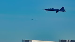 Birds Fly Under Air Force Jet Landing At Edwards Air Force Base [upl. by Allenaj]