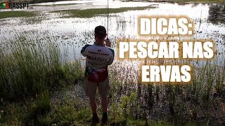 Dicas para pescar ao achigã nas ervas [upl. by Sprage]