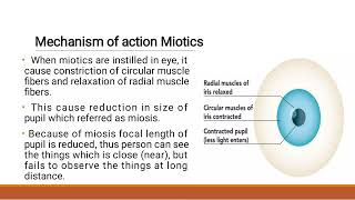 Drug acting on eye Miotics and Mydriatics [upl. by Yetty489]