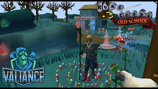 HCIM Fairytale II  Cure A Queen E8S4 [upl. by Haggar]