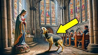 Un Chien Narrête Pas d’Aboyer Contre la Statue de Marie en Pleine Messe Tout le Monde Devient Pâle [upl. by Sirron851]