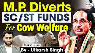 Shocking MP Diverts SCST Funds for Cow Welfare  GS1 Anthropology  UPSC CSE Mains  StudyIQ IAS [upl. by Ayhdiv816]