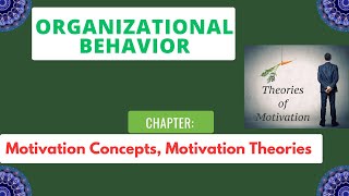 Motivation Concepts  Motivational Theories  Organizational Behaviour  Md Azim [upl. by Nev485]