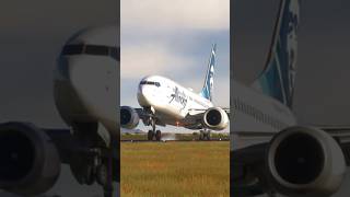 737 MAX 8 Landing MSFS  Alaska Airlines boeing 737max msfs [upl. by Robinett]