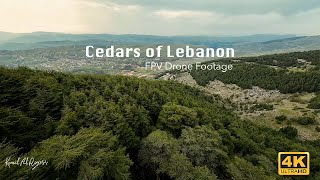 Cedars of Lebanon  FPV Drone footage [upl. by Lesnah]