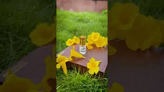 Explore Attar Discovery Pack  Gulzaar Premium Fragrance Home [upl. by Ggerc]