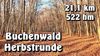 Buchenwald Herbstrunde  Timelapse [upl. by Grussing]