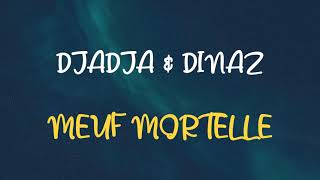 🎧DJADJA amp DINAZ  MEUF MORTELLE SLOWED amp REVERB [upl. by Naleek]