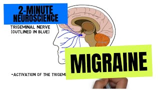 2Minute Neuroscience Migraine [upl. by Gotcher884]