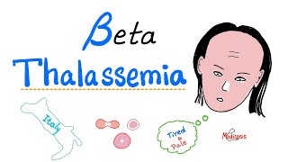 Beta Thalassemia  Causes and Types  minor Major amp Intermedia  Hematology [upl. by Higginson]