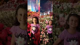 Flower show thrissur trendingshorts flowers [upl. by Jed]