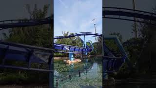 The Iconic Turn  Manta at SeaWorld Orlando [upl. by Marlane]