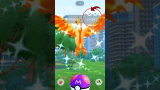 Finally got ✨ Shiny Galarian Moltres in Pokemon GO [upl. by Idnahk]