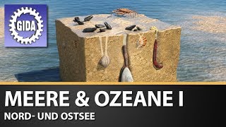 Trailer  Meere amp Ozeane I  Nord und Ostsee  Schulfilm [upl. by Anytsirhc221]