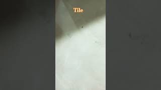 Tile fixing funny tiles floorcovering shots shorts [upl. by Nirag689]