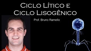 Reprodução dos Bacteriófago  Ciclo Lítico e Lisogênico  YES Biologia com Prof Bruno Ramello [upl. by Felty]