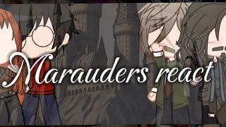 Harry Potter characters react  Marauders react to harry [upl. by Lothario]