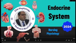 Endocrine System Physiology Nursing 72024 by Dr Khaled A Abulfadle [upl. by Hardin]