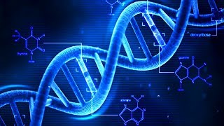 DNA  What is DNA  Basics of DNA [upl. by Charlene]