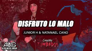 Disfruto Lo Malo  Junior H amp Natanael Cano Audio Oficial  quotESTRENOquotquot [upl. by Trisha]