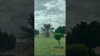 Mastana mausam haishortfeed viralshorts viralvlogs travel uae [upl. by Airretal]