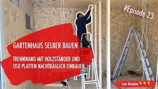 DIY Gartenhaus selber bauen Ep 23  Trennwand einbauen [upl. by Tnert861]