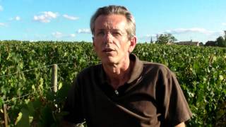 Alain Moueix Château Fonroque St Emilion Grand cru classé [upl. by Nomrah]