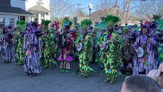 Quaker City String Band at the 2024 St Patrick’s Day Parade in Gloucester City NJ [upl. by Elok718]