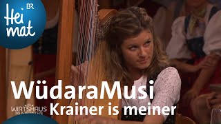 WüdaraMusi Krainer is meiner  Wirtshausmusikanten  BR Heimat  die beste Volksmusik [upl. by Rednazxela]