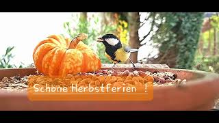 Schöne Herbstferien [upl. by Nerra]