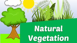 Natural Vegetation  Wild  Types of Vegetation AAtoonsStudy [upl. by Rugen]