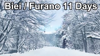 11 Days Hokkaido Winter Road Trip  Hokkaido Travel Vlog EP2  Biei Furano Hoshino Resorts Tomamu [upl. by Eilram]