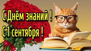 🍁🌞📚 1 сентября День знаний 📚 С днем знаний💗Красивое музыкальное пожелание [upl. by Erdnaid970]