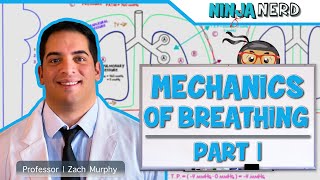 Respiratory  Mechanics of Breathing Pressure Changes  Part 1 [upl. by Ahsenom573]