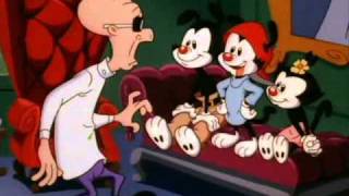 Animaniacs  ¿Qué son los Hermanos Warner [upl. by Notaes]