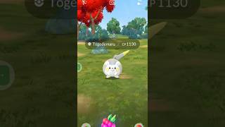 See how I Catch a Togedemaru in Pokemon go pokemongo pokemon [upl. by Prader810]