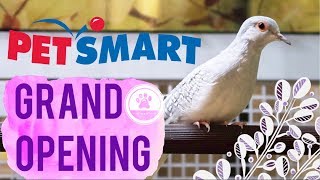 New Petsmart Grand Opening Store Tour  Pet Store Tour  Free Stuff amp Buying Gifts for Pets [upl. by Jabin217]