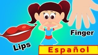 cabeza hombros rodillas y dedos canciones infantiles para los niños  español  compilación [upl. by Phox26]