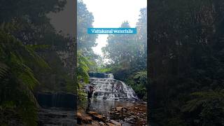 Kodaikanal tourist spots⛰️🌿 fairyfalls vattakanal coakerswalk silvercascade kodaikanaltour [upl. by Loredo]