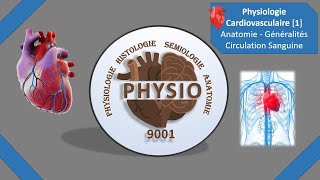 Physiologie Cardiovasculaire 1  Anatomie  Généralités  Circulation Sanguine  Médecine  Cours [upl. by Zelda]