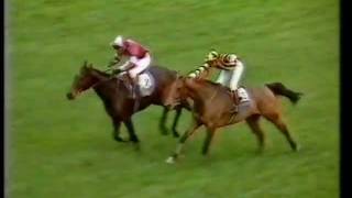 1984 Tingle Creek Handicap Chase [upl. by Oibesue]