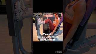 Beinpresse sitzend shorts beintraining fitness [upl. by Sternlight]