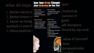 How Your Brain Changes After Meditating for One Year [upl. by Saul]