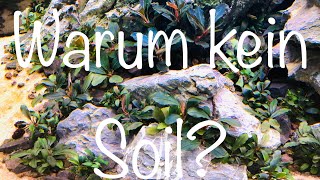 Warum benutze ich keinen Soil im Aquarium aquaristik [upl. by Atokad]