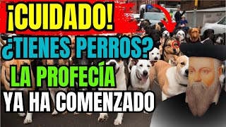 CHOCANTE Lo Que Nostradamus Predijo Para Quienes Tienen PERRO EN CASA  Profecías Reveladas [upl. by Ybot]